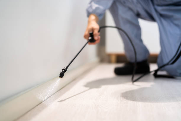 Licensed Pest Control service in Reliez Valley, CA - Show Me Pest Control