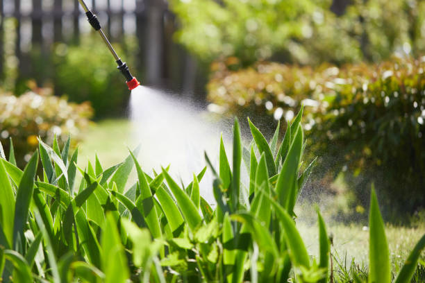 24/7 Emergency Mosquito Control experts in Reliez Valley, CA